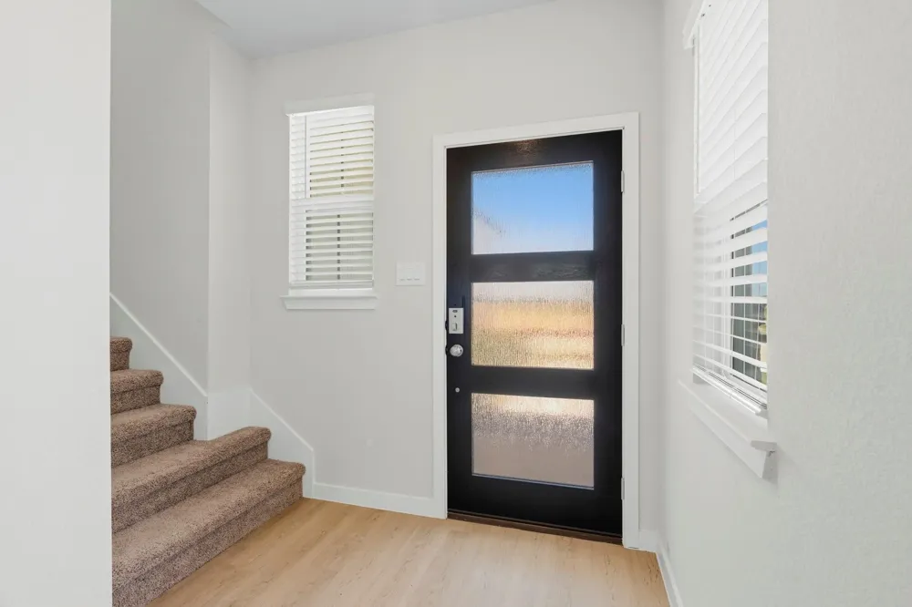26127 Venus Trap Trail Katy, TX 77493