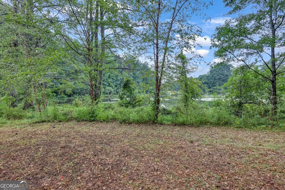2541 Poplar ST Snellville, GA 30078