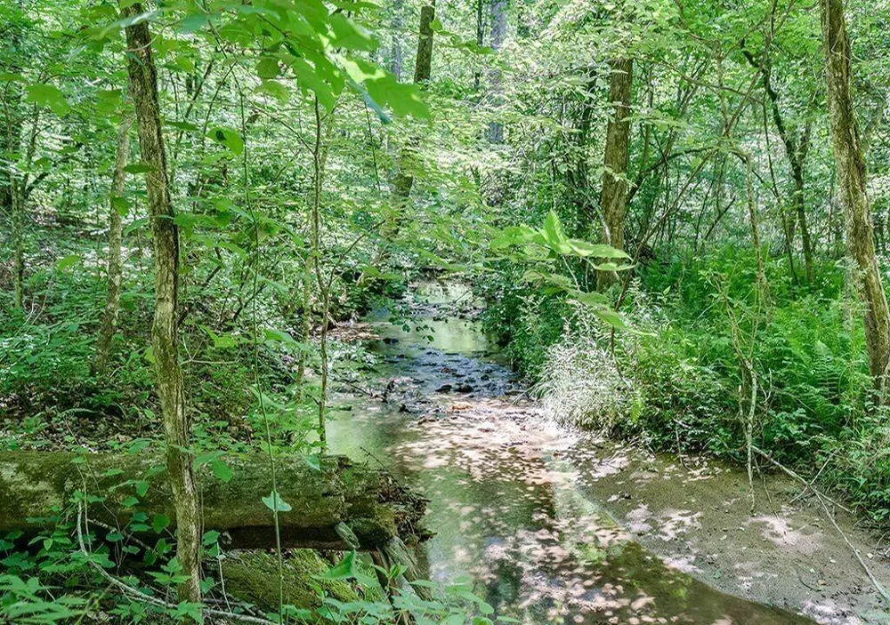 493 Vista View Place Cleveland, GA 30528