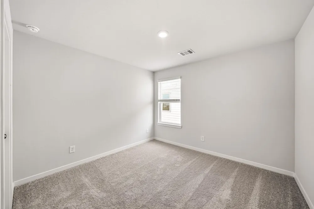 26114 Venus Trap Trail Katy, TX 77493
