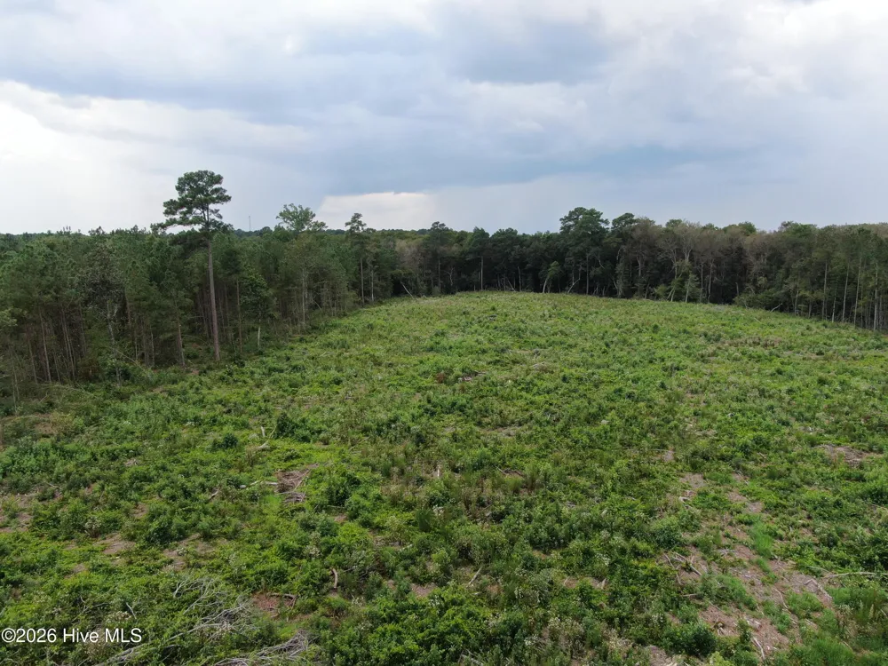 Tbd Johns Mill Road Maxton, NC 28364