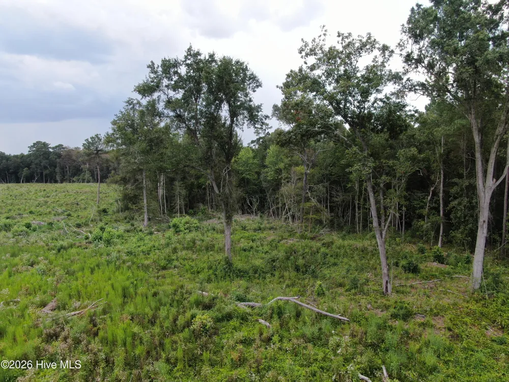 Tbd Johns Mill Road Maxton, NC 28364