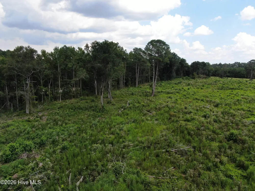 Tbd Johns Mill Road Maxton, NC 28364
