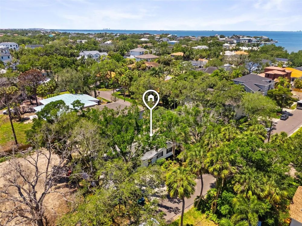 Address Not Shown Tampa, FL 33629