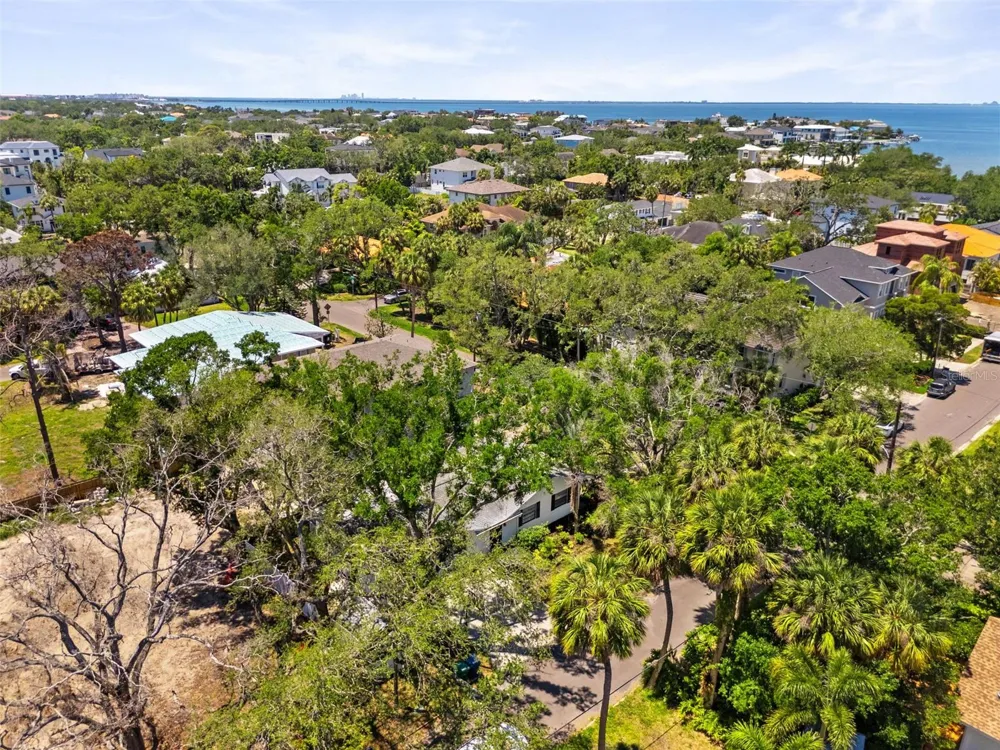 Address Not Shown Tampa, FL 33629