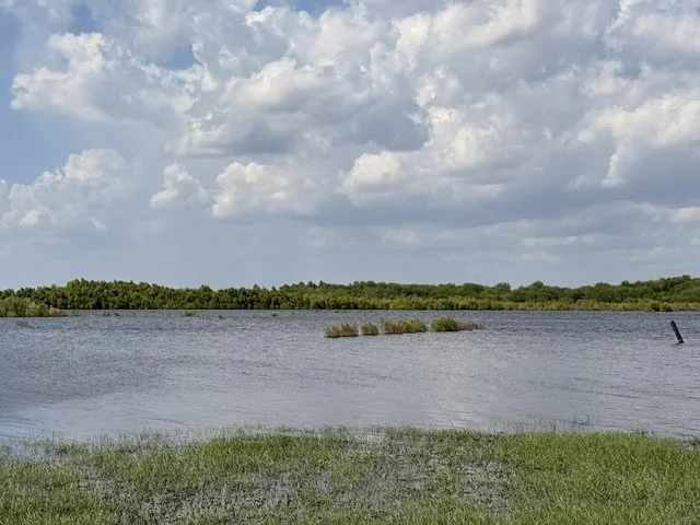343 Stephens Mathis, TX 78368
