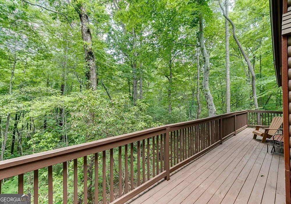 493 Vista View PL Cleveland, GA 30528