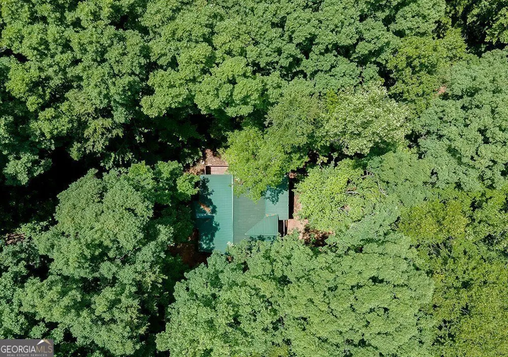 493 Vista View PL Cleveland, GA 30528