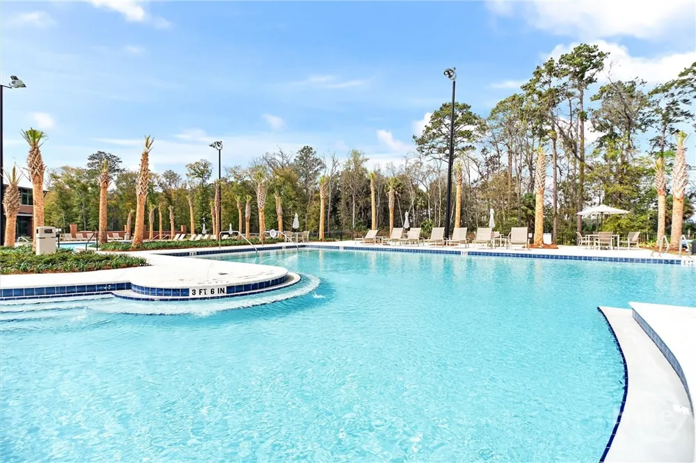 113 Ridgewood Park Drive S Richmond Hill, GA 31324