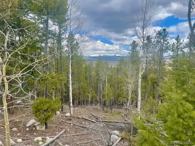 105 Parry Peak Drive Twin Lakes, CO 81251