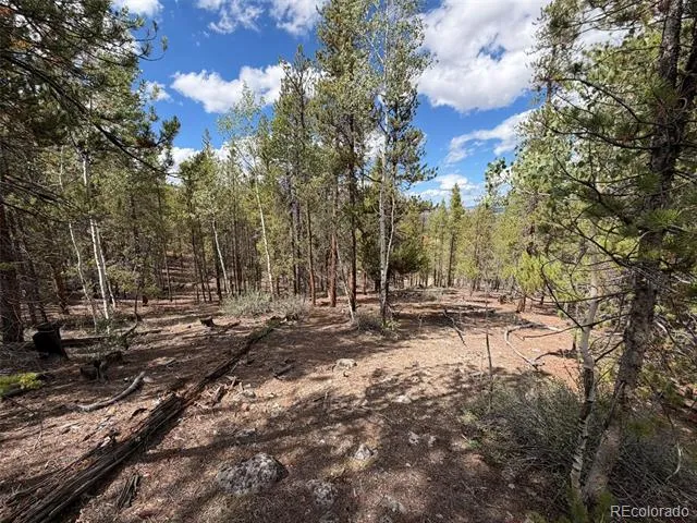 105 Parry Peak Drive Twin Lakes, CO 81251