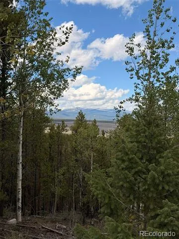 105 Parry Peak Drive Twin Lakes, CO 81251