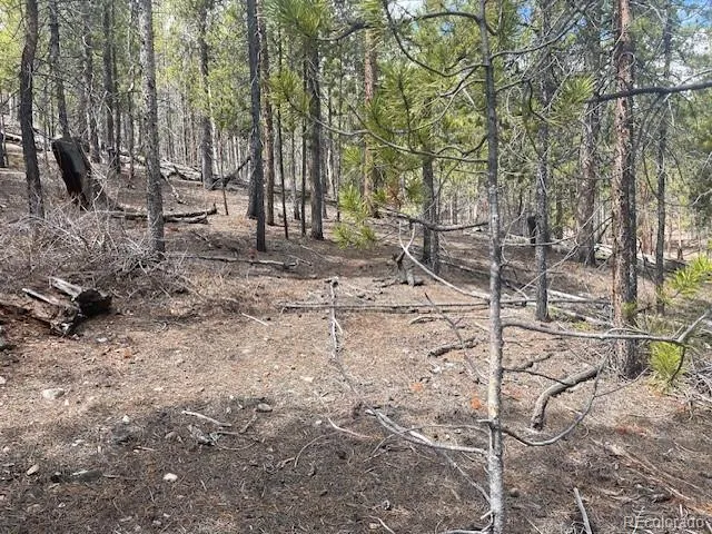 105 Parry Peak Drive Twin Lakes, CO 81251