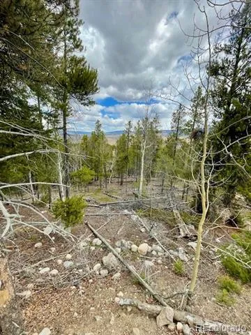 105 Parry Peak Drive Twin Lakes, CO 81251