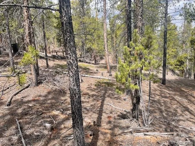 105 Parry Peak Drive Twin Lakes, CO 81251