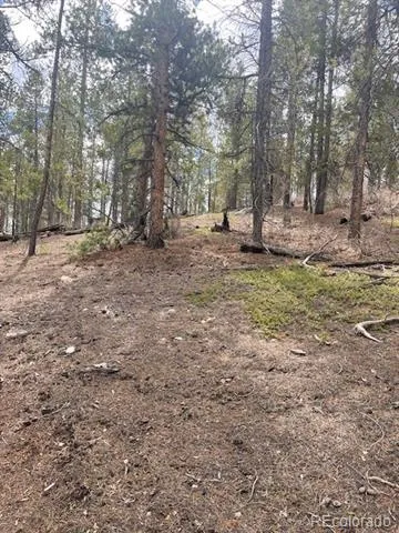 105 Parry Peak Drive Twin Lakes, CO 81251