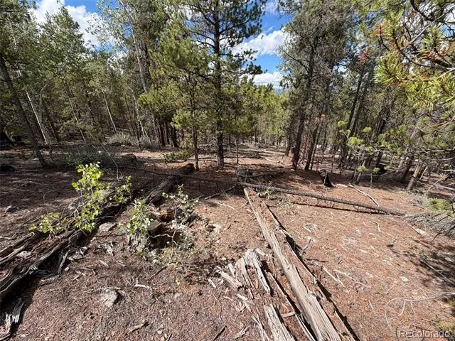 105 Parry Peak Drive Twin Lakes, CO 81251