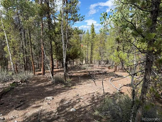 105 Parry Peak Drive Twin Lakes, CO 81251