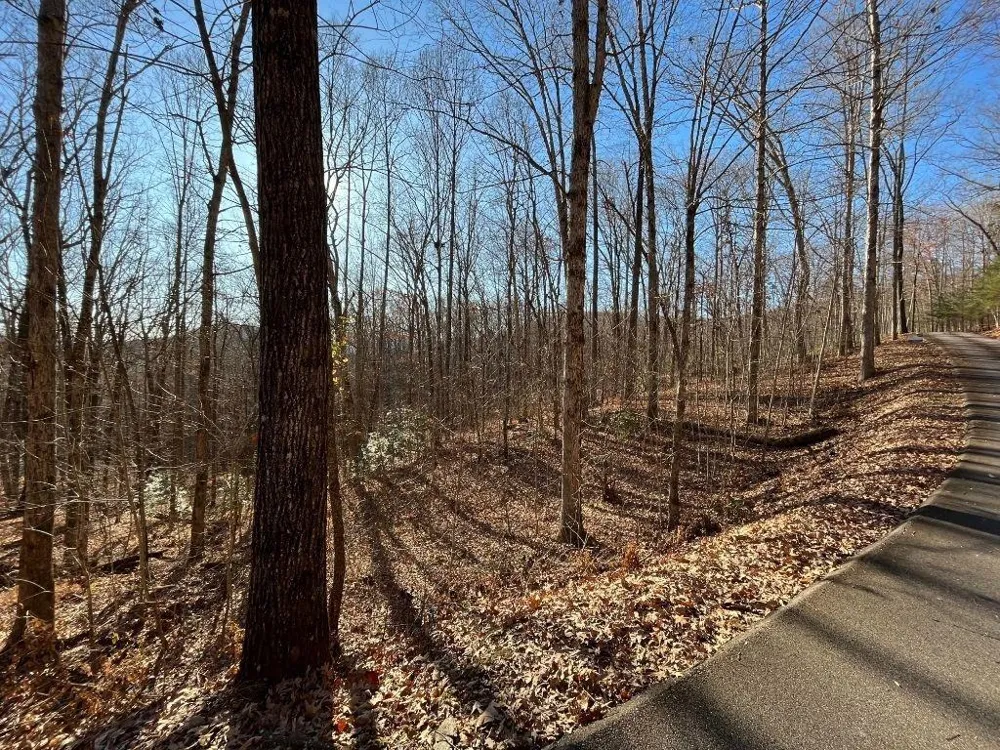 LOT #2 Forest Canopy Way Clayton, GA 30525
