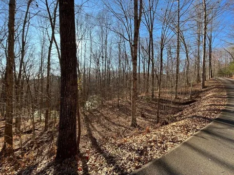 LOT #2 Forest Canopy Way