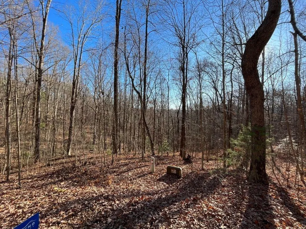 LOT #2 Forest Canopy Way Clayton, GA 30525