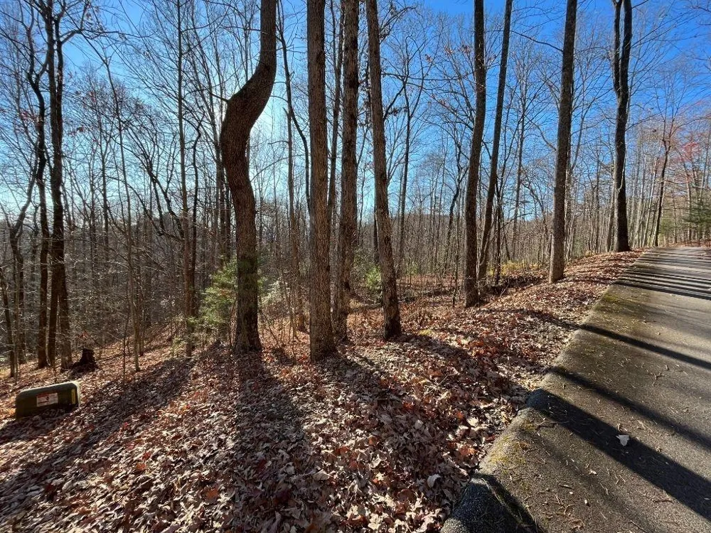 LOT #2 Forest Canopy Way Clayton, GA 30525