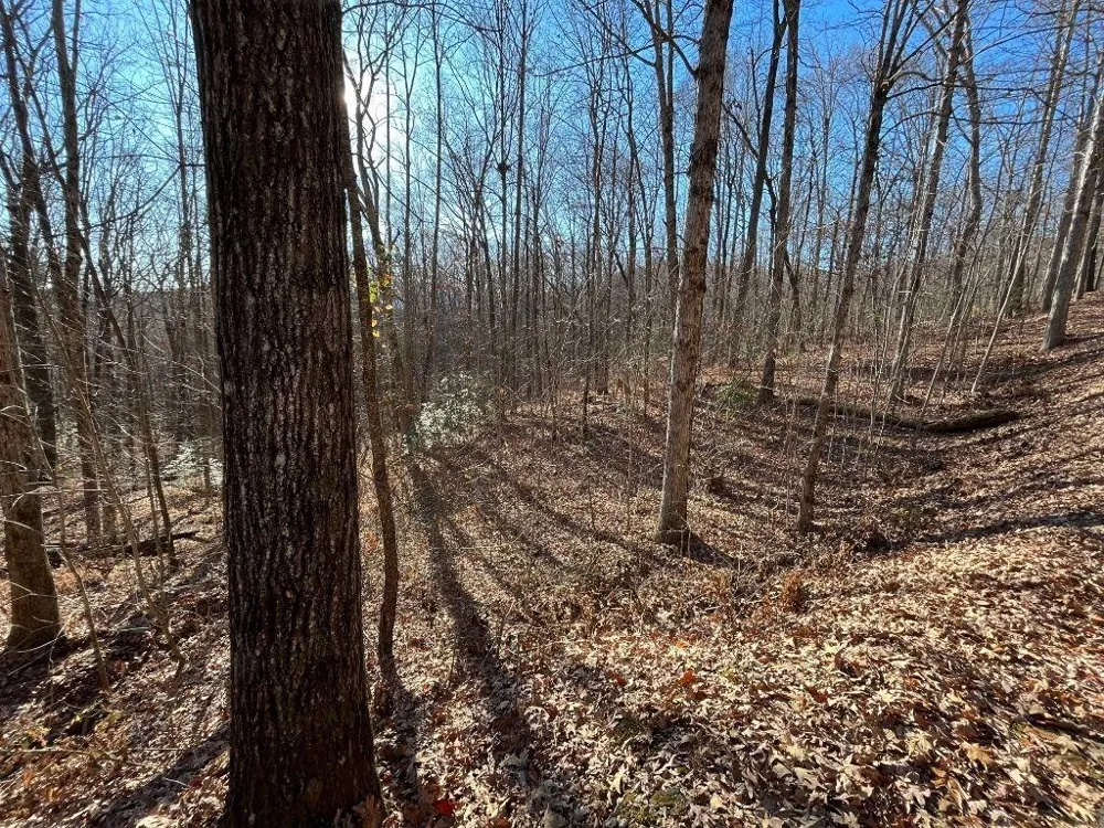 LOT #2 Forest Canopy Way Clayton, GA 30525