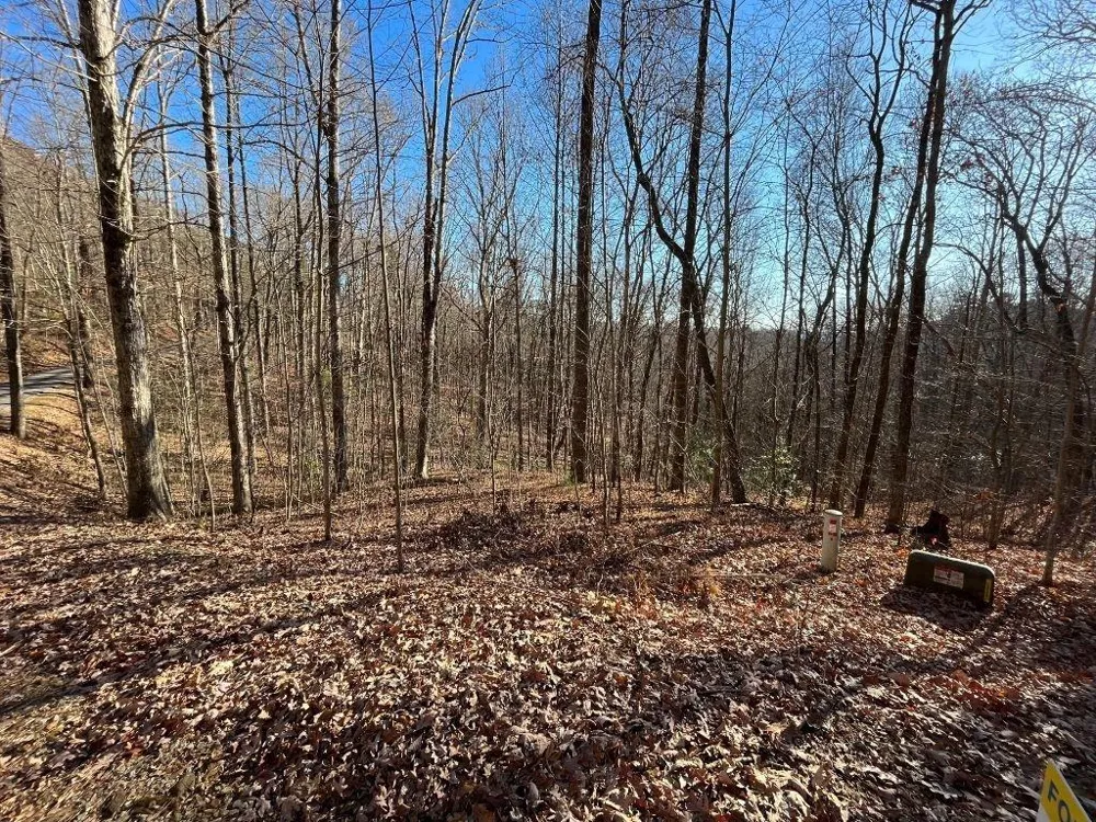 LOT #2 Forest Canopy Way Clayton, GA 30525