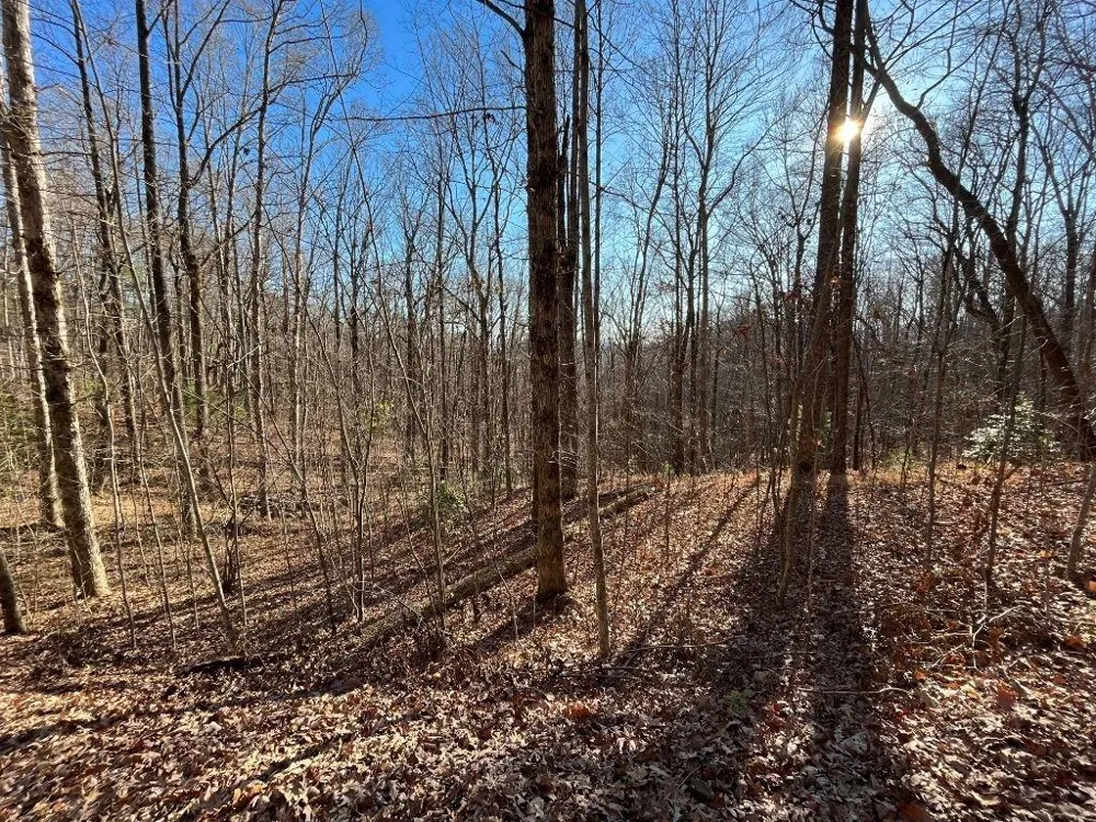 LOT #2 Forest Canopy Way Clayton, GA 30525