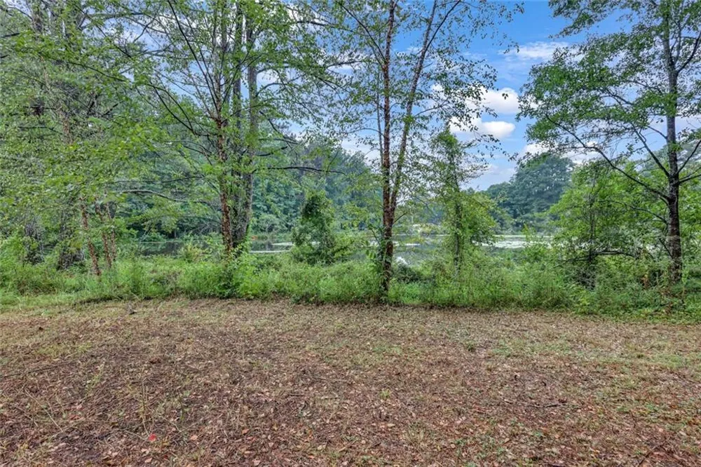 2541 Poplar Street Snellville, GA 30078