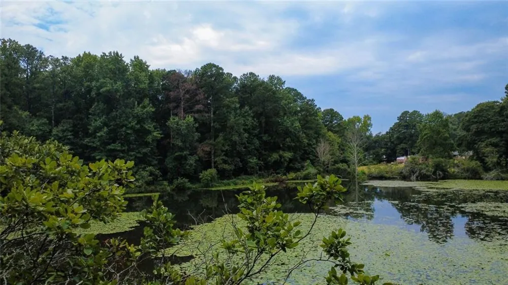 2541 Poplar Street Snellville, GA 30078