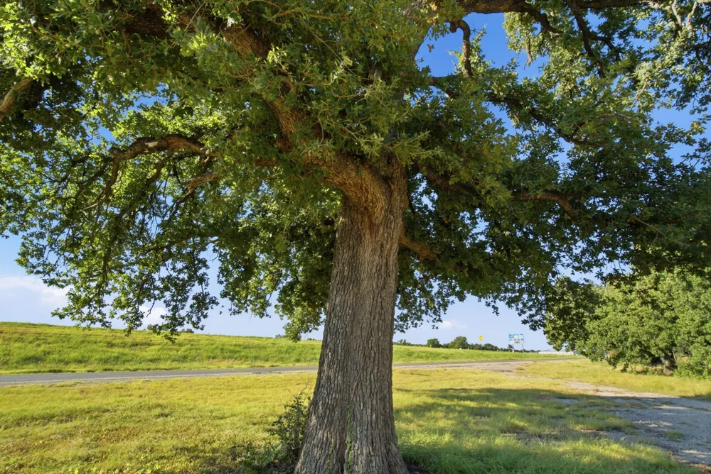 87671 IH 20 W Santo, TX 76472