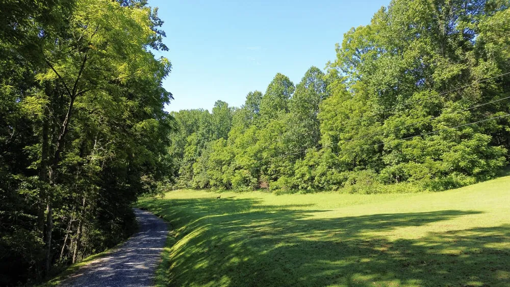 Windy Poplar Road Franklin, NC 28734