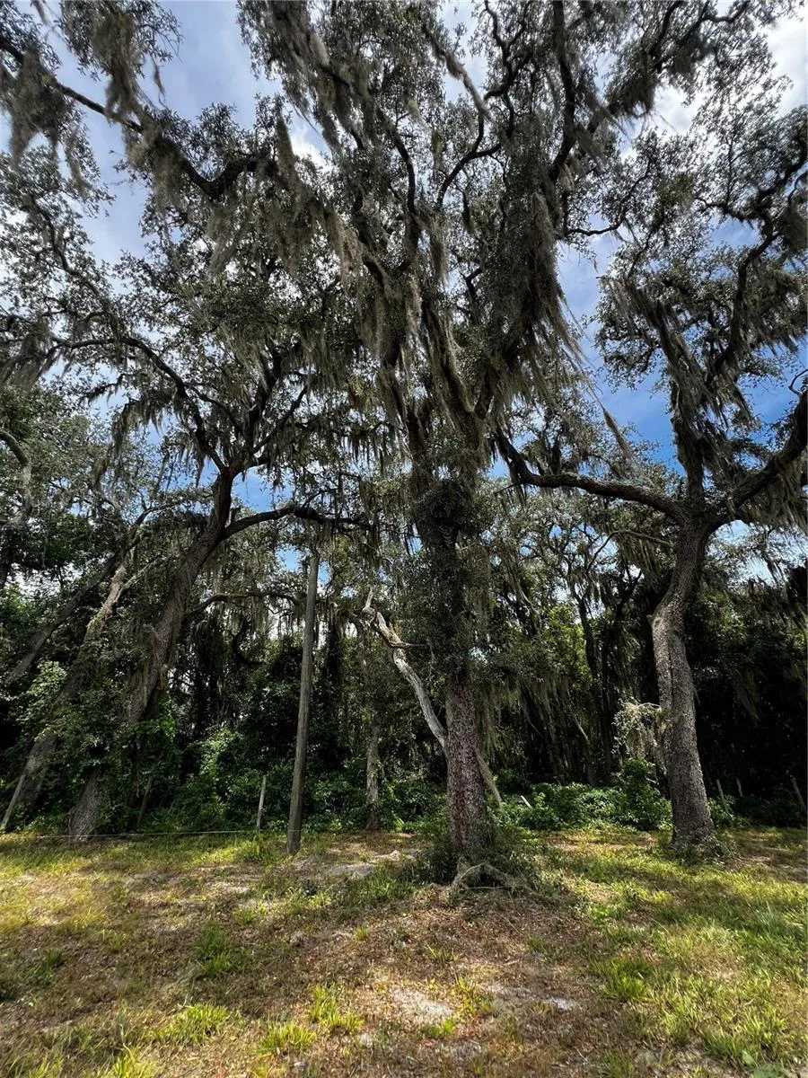106 PLANET DR Crescent City, FL 32112