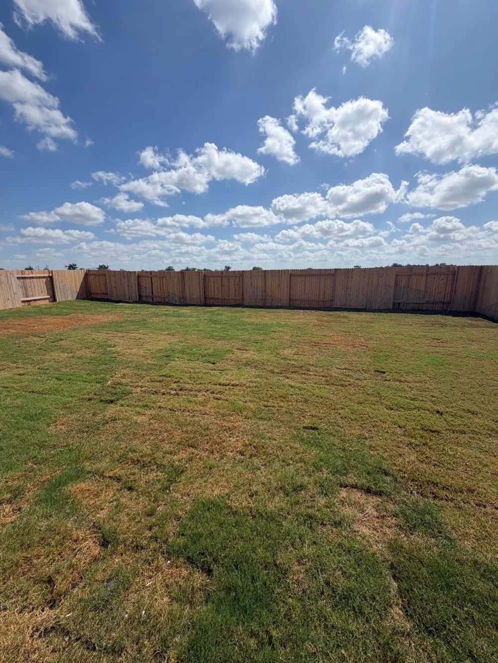 153 Ayres Horn Cedar Creek, TX 78612