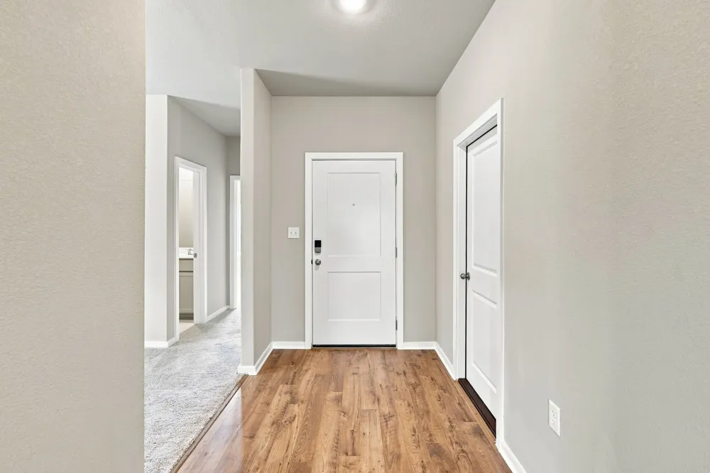 153 Ayres Horn Cedar Creek, TX 78612