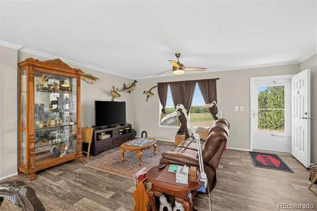 215 Quail Court Rockvale, CO 81244