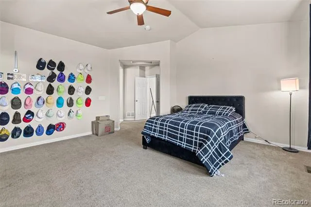 16534 E Fire Fly Avenue Parker, CO 80134