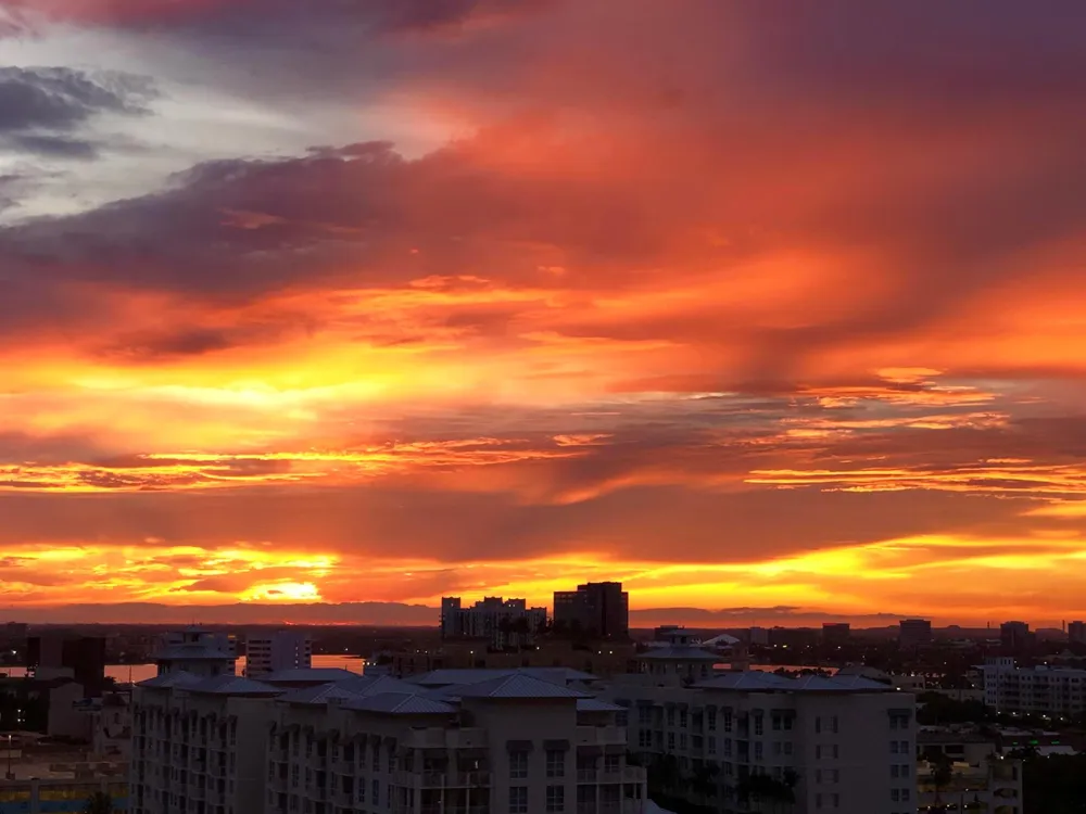 701 S OLIVE AVENUE #1817 West Palm Beach, FL 33401