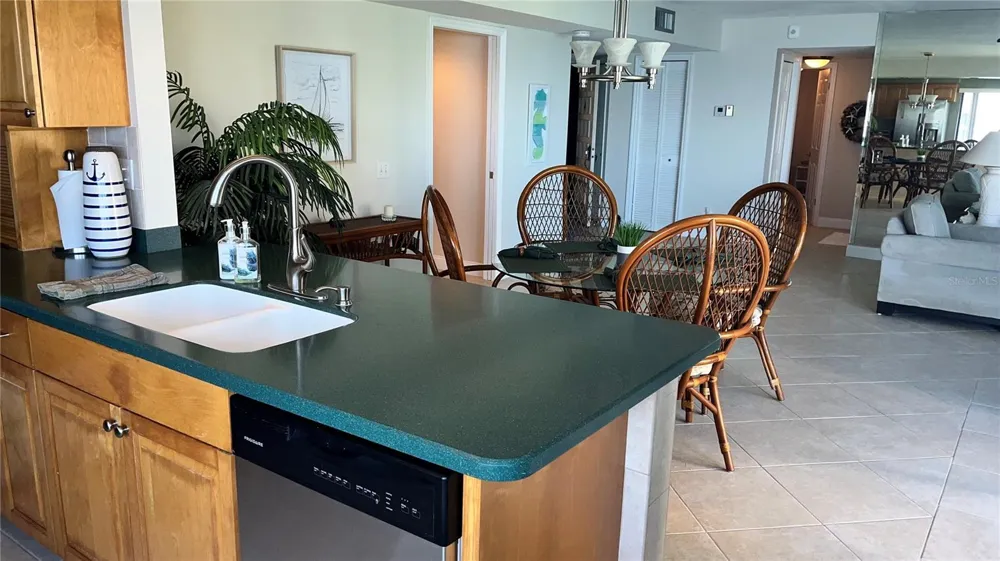 5541 PUERTA DEL SOL BOULEVARD S #118 St Petersburg, FL 33715