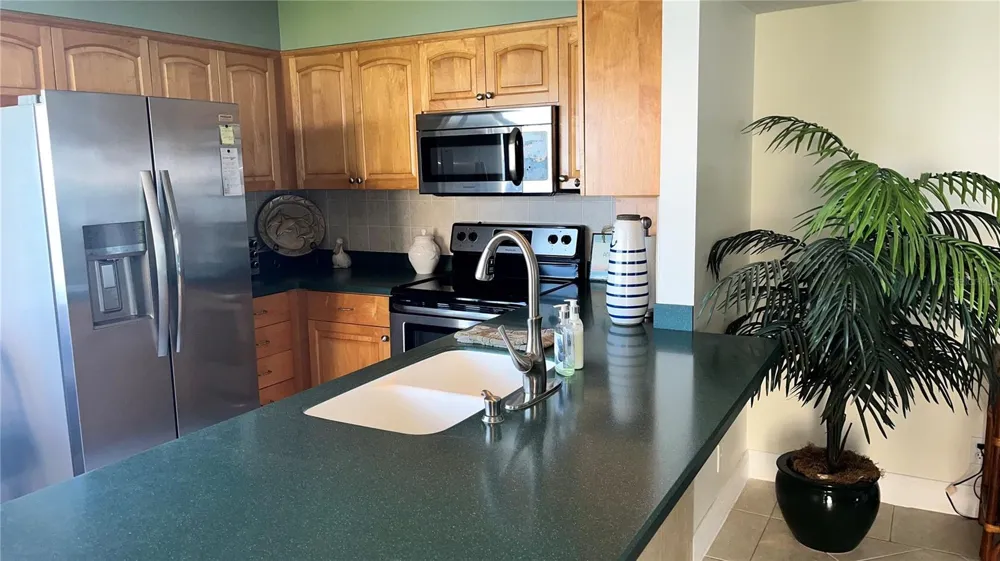 5541 PUERTA DEL SOL BOULEVARD S #118 St Petersburg, FL 33715