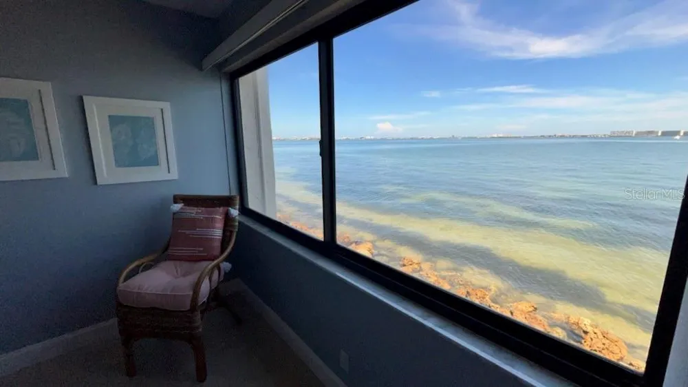 5541 PUERTA DEL SOL BOULEVARD S #118 St Petersburg, FL 33715