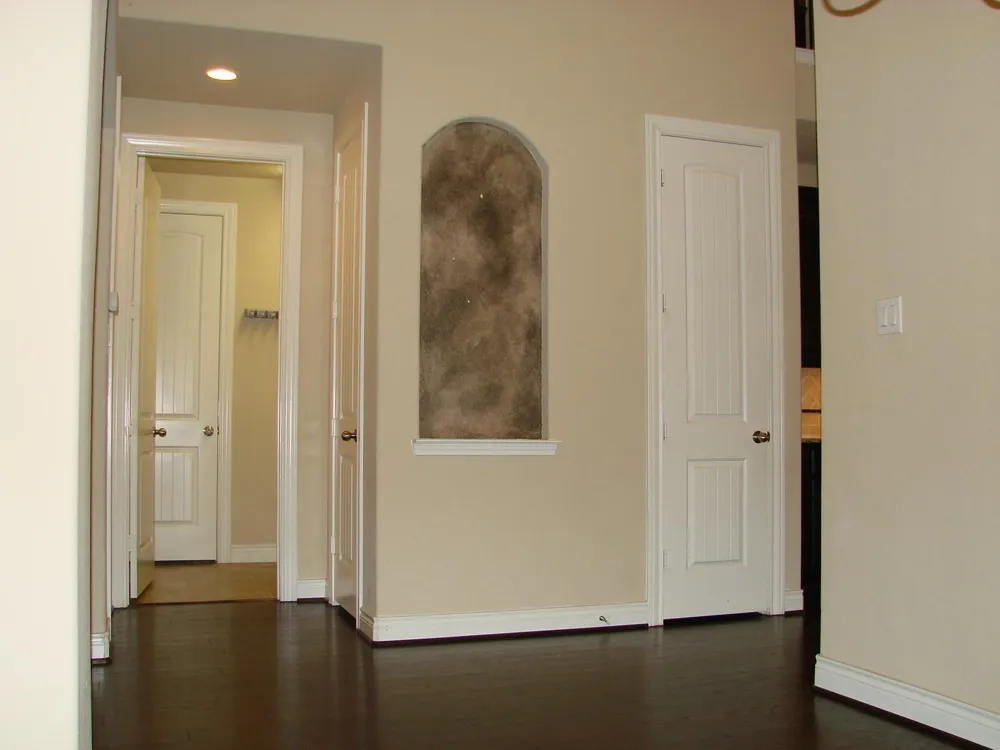 24234 Cordova Brook Lane Katy, TX 77494