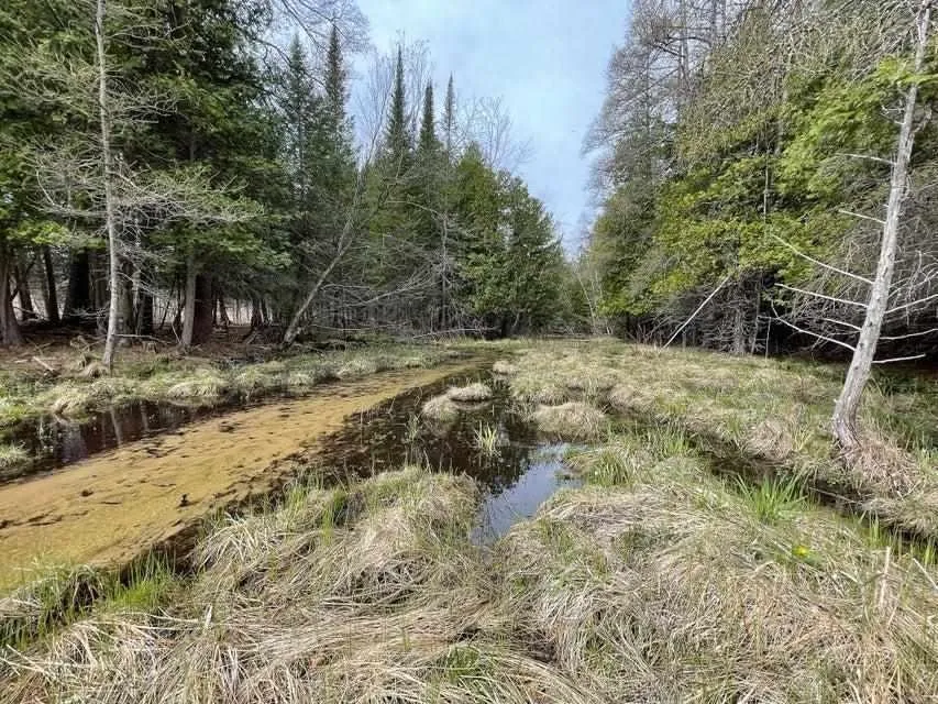 Cody Lane Kalkaska Township, MI 49646
