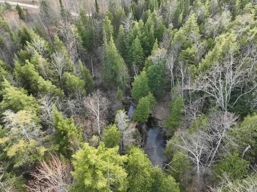 Cody Lane Kalkaska Township, MI 49646