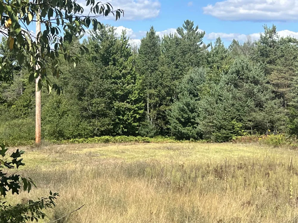 Cody Lane Kalkaska Township, MI 49646