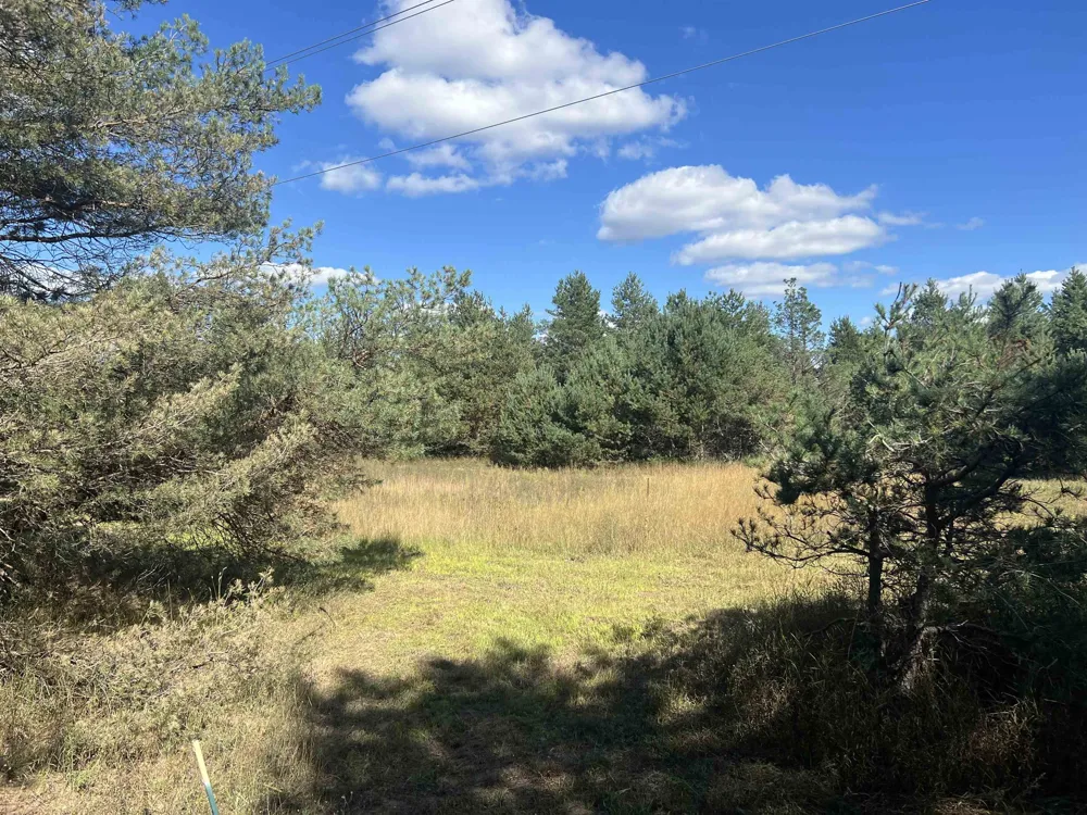 Cody Lane Kalkaska Township, MI 49646