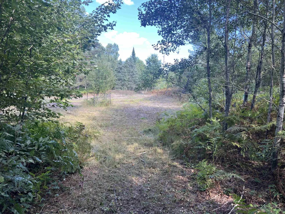 Cody Lane Kalkaska Township, MI 49646