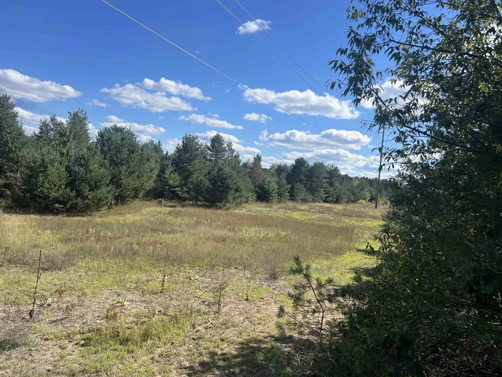 Cody Lane Kalkaska Township, MI 49646