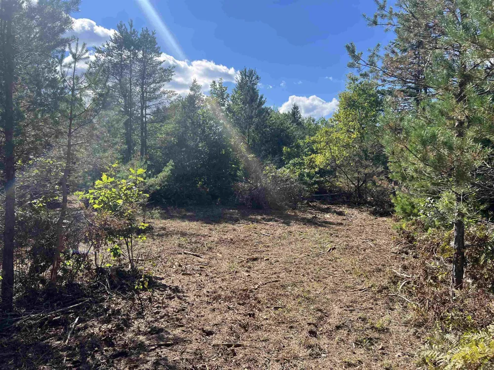 Cody Lane Kalkaska Township, MI 49646